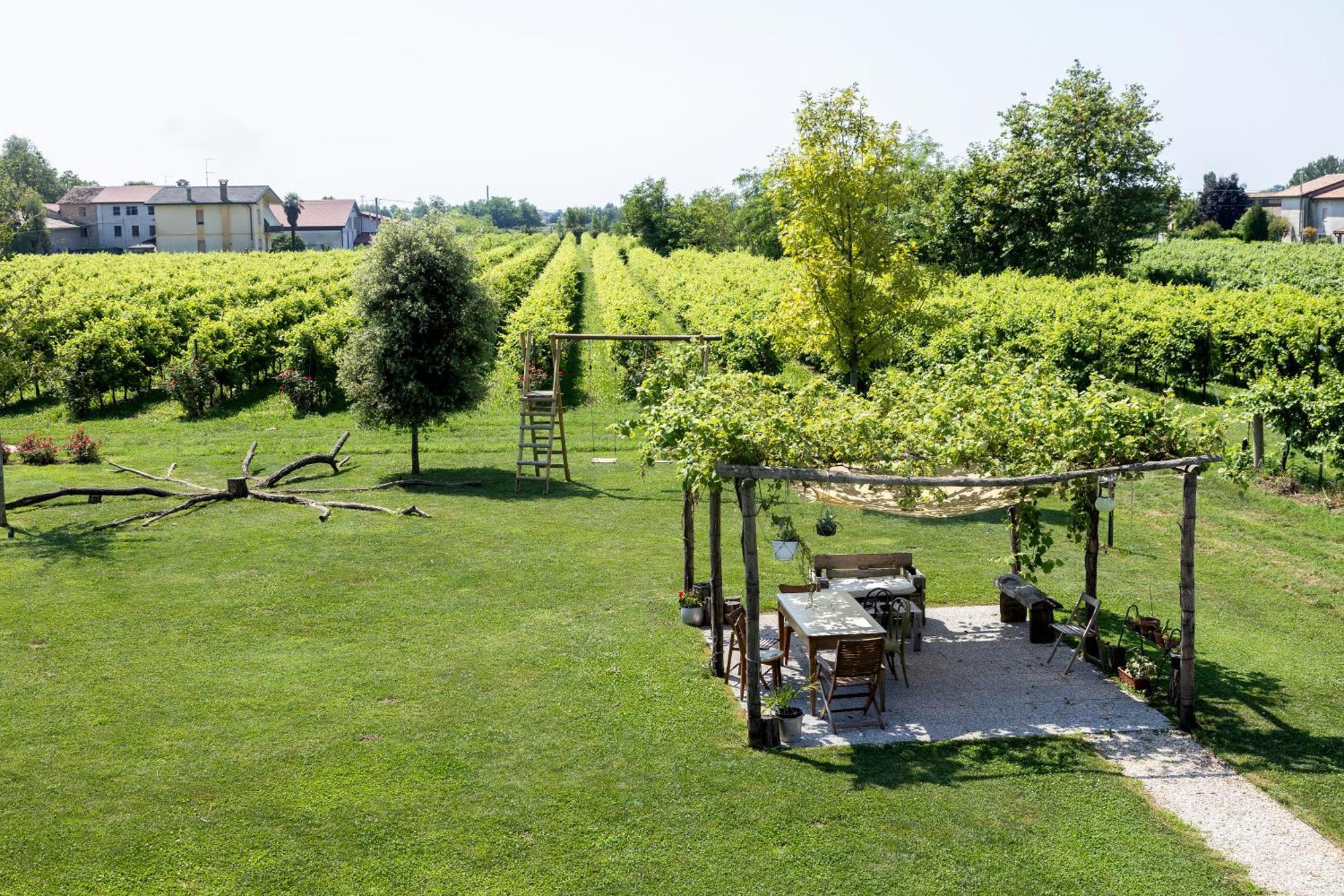 Agriturismo Da Zeffi Spresiano Kültér fotó