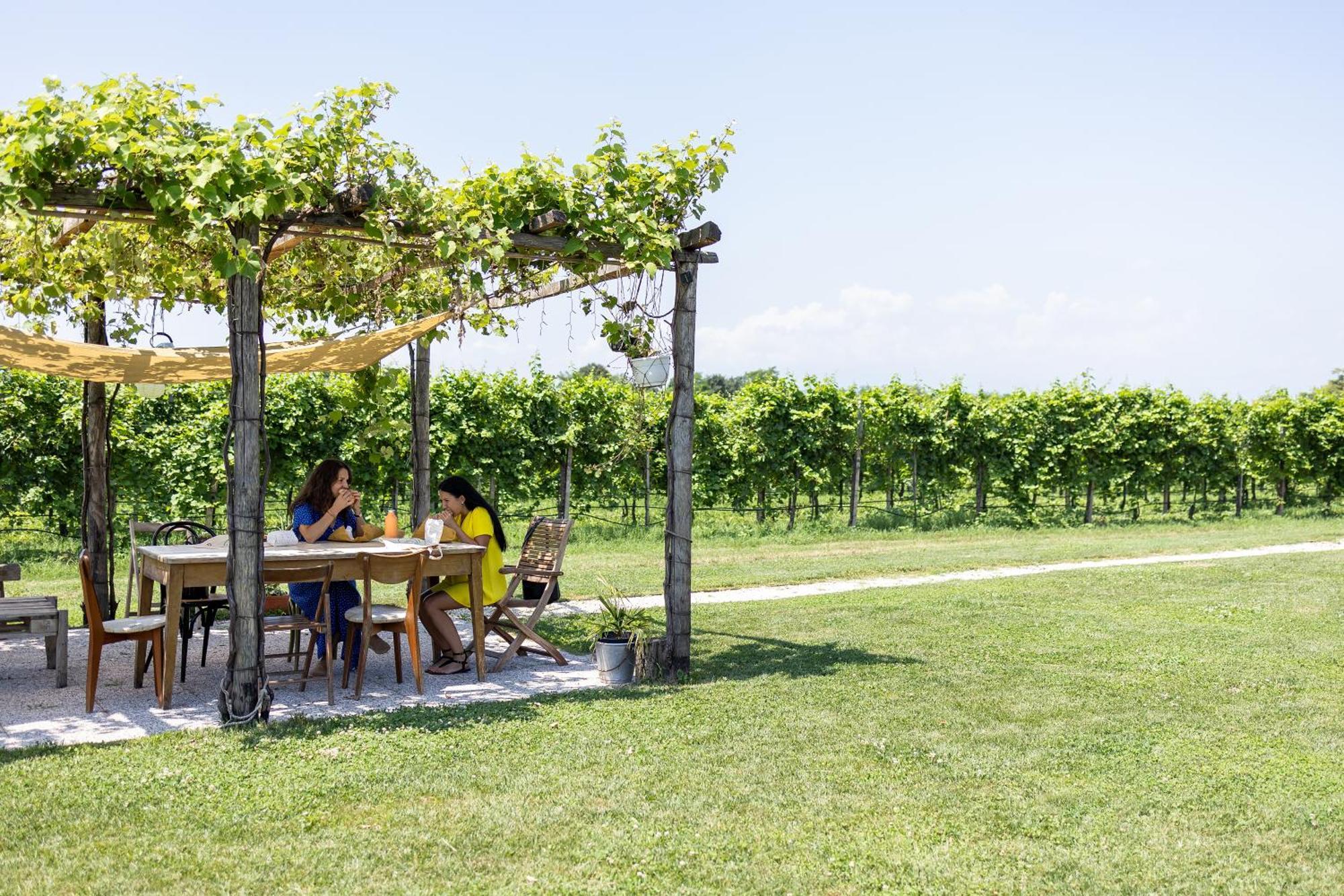 Agriturismo Da Zeffi Spresiano Kültér fotó